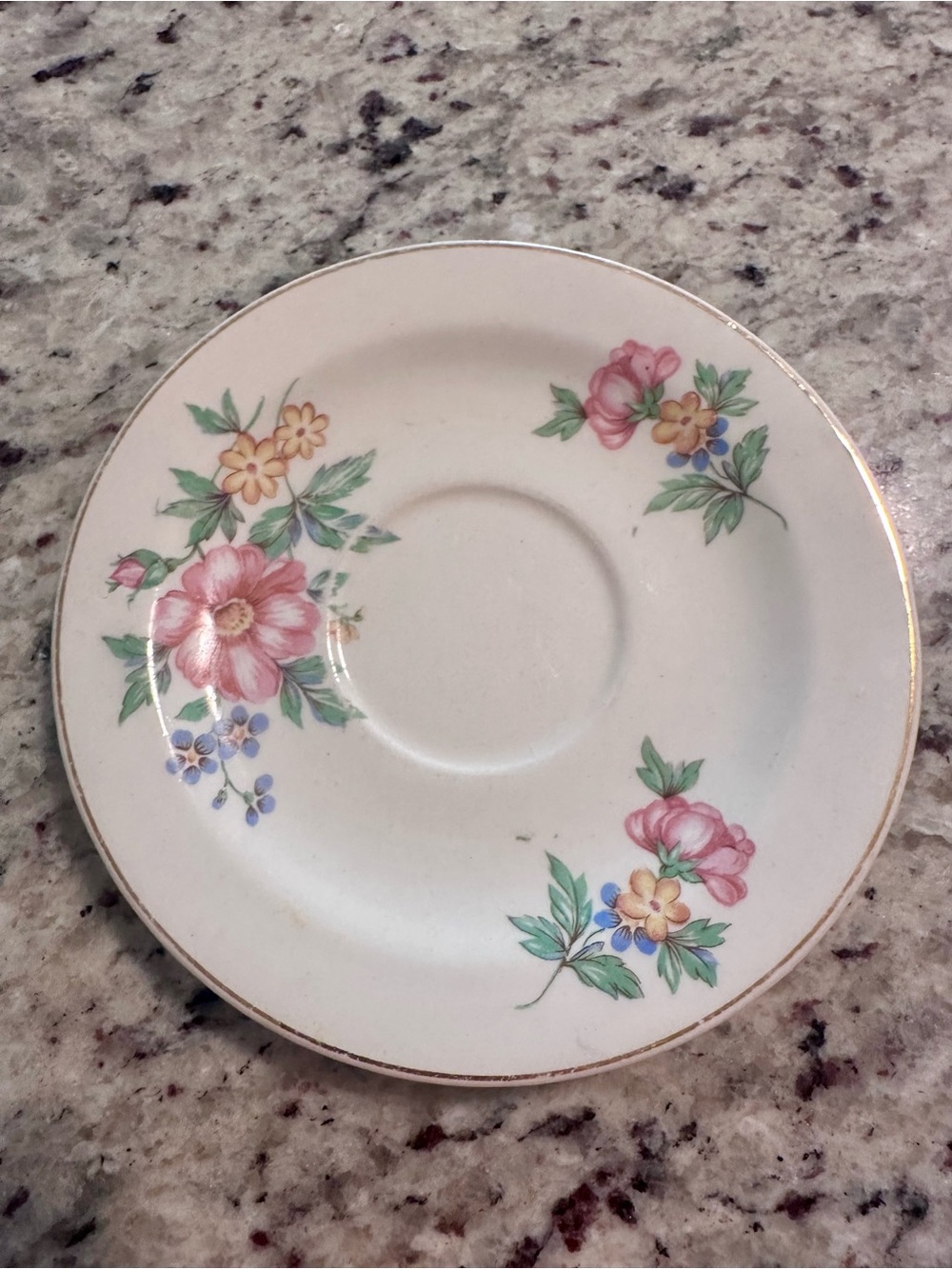Taylor, Smith & Taylor 1823 Floral Tea Cup Saucer Gold Trim Vintage China